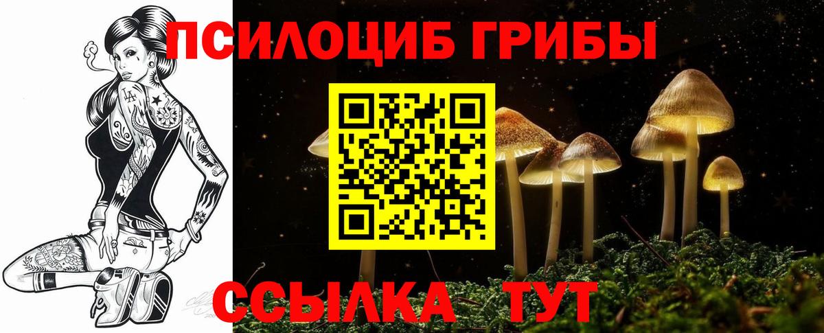 Псилоцибиновые грибы MAGIC MUSHROOMS  Вход с VPN  Галлюциногенные грибы прущие грибы  Полысаево 